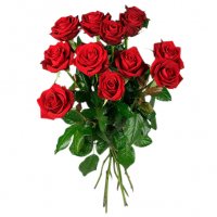 12 röda rosor - Buketter - Skicka blommor i %city%
